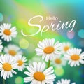 Stock vector illustration Hello, Hi Spring. Realistic chamomiles, blurred defocused background. Macro flowers. Green bokeh. Royalty Free Stock Photo