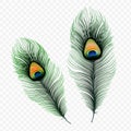 Stock Vector Illustration Peacock Feather Isolated On A Transparent Background. EPS 10