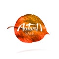 Stock vector illustration sale Autumn falling leaves. Autumnal foliage fall and poplar leaf flying in wind motion blur. Autumn Royalty Free Stock Photo