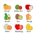 Stock vector illustration set icons of fruits in flat style