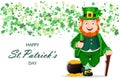 Stock vector Leprechaun cartoon character