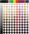 Stock vector palette with hair colour numbering system