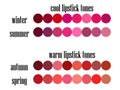 Stock vector seasonal color analysis lipstick colors palette