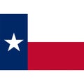 Stock vector texas flag icon 1 Royalty Free Stock Photo