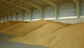 Stock or warehouse pile wheat store, barley and other cereals and grain heap and mound, very modern with moisture