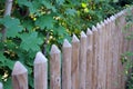 Stockade fence with half-round posts