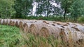 stocked piles of hay on a meadow Royalty Free Stock Photo