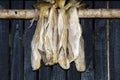 Stockfish