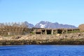 Stockfish, or dried fish, dries in the air in Svolvaer in Norway Royalty Free Stock Photo