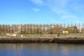 Stockfish, or dried fish, dries in the air in Svolvaer in Norway Royalty Free Stock Photo