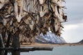 Stockfish