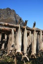 Stockfish,lofoten sky and mounts Royalty Free Stock Photo