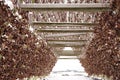 Wooden racks on the foreshore for drying cod fish in winter. Reine fishing village, Lofoten islands. Royalty Free Stock Photo