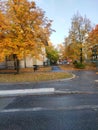 Stockholm Autom with nice colourfull  tree Royalty Free Stock Photo