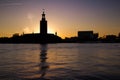 Stockholm City Hall Royalty Free Stock Photo