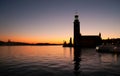 Stockholm city hall Royalty Free Stock Photo