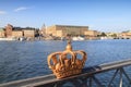 Stockholm crown Royalty Free Stock Photo