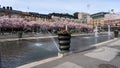 Stockholm, Kungstradgarden Sweden - 05. 03. 2021: Famous landmark. Sakura blossom in the central park of Stockholm. Lots of people Royalty Free Stock Photo
