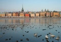 Stockholm skyline in winter with waterfowl