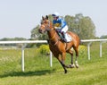 Female jockey riding a arabian gallop race horse at the race track Royalty Free Stock Photo