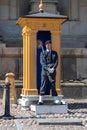 Royal guardsman on guard at Swedish Royal Palace