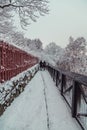 Stockholm Sweden, Tourists walking on a narrow path with wooden fences and trees