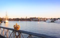 Stockholm view with crown Royalty Free Stock Photo