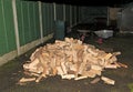 Stocking up on wood, during the winter of 2021. Royalty Free Stock Photo