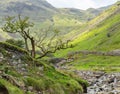 Stockley Bridge near Seathwaite Cumbria Royalty Free Stock Photo