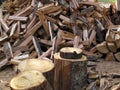 A Stockpile of Fresh Cut Firewood Royalty Free Stock Photo