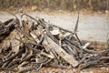 A Stockpile of Sawed Wood