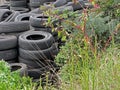 A Stockpile of Used Tires with Plants.