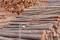 Stockpiled Logs Royalty Free Stock Photo