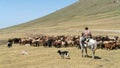 Stockrider shepherd with his livestock animals in Kyrgyzstan mountains Royalty Free Stock Photo