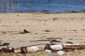 Stockton Springs Maine beach at low tide