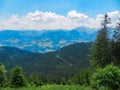 Stoderzinken - Majestic view of Dachstein mountain range framed by lush green alpine forests in Stoderzinken, Styria, Austria Royalty Free Stock Photo