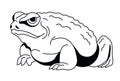 Stoic Frog Vector Design