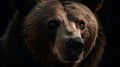 The Stoic Wisdom of the Kodiak Bear