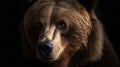 The Stoic Wisdom of the Kodiak Bear