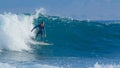 Stoked surfer having fun riding and looking around the scenic sunny seaside. Royalty Free Stock Photo