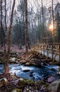 Stokes State Forest in Sussex County, NJ, a footbridge over Flatbrook runs along the Blue Mountain Trail in on a late afternoon