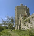 Stokesay castle Royalty Free Stock Photo