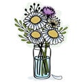 Stokesia and chamomile in a glass jar. Vector icon on white background