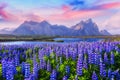 Stokksnes Royalty Free Stock Photo