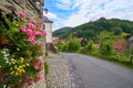 Stolberg flowers in Harz mountains Germany Royalty Free Stock Photo