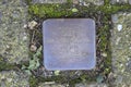 Stolperstein Memorial Stone From Sara Van Thijn-Pachter At Amsterdam The Netherlands 21-3-2024