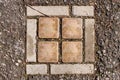 Stolperstein `stumbling stones` on Kapuzinerberg in Salzburg commemorating austrian author Stefan Zweig and his family