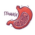 Stomach. Humans and animals internal organs. Medical theme for posters, leaflets, books, stickers. Human organ anatomy