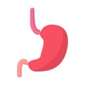 Stomach cartoon icon