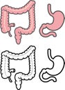 Stomach and colon Royalty Free Stock Photo
